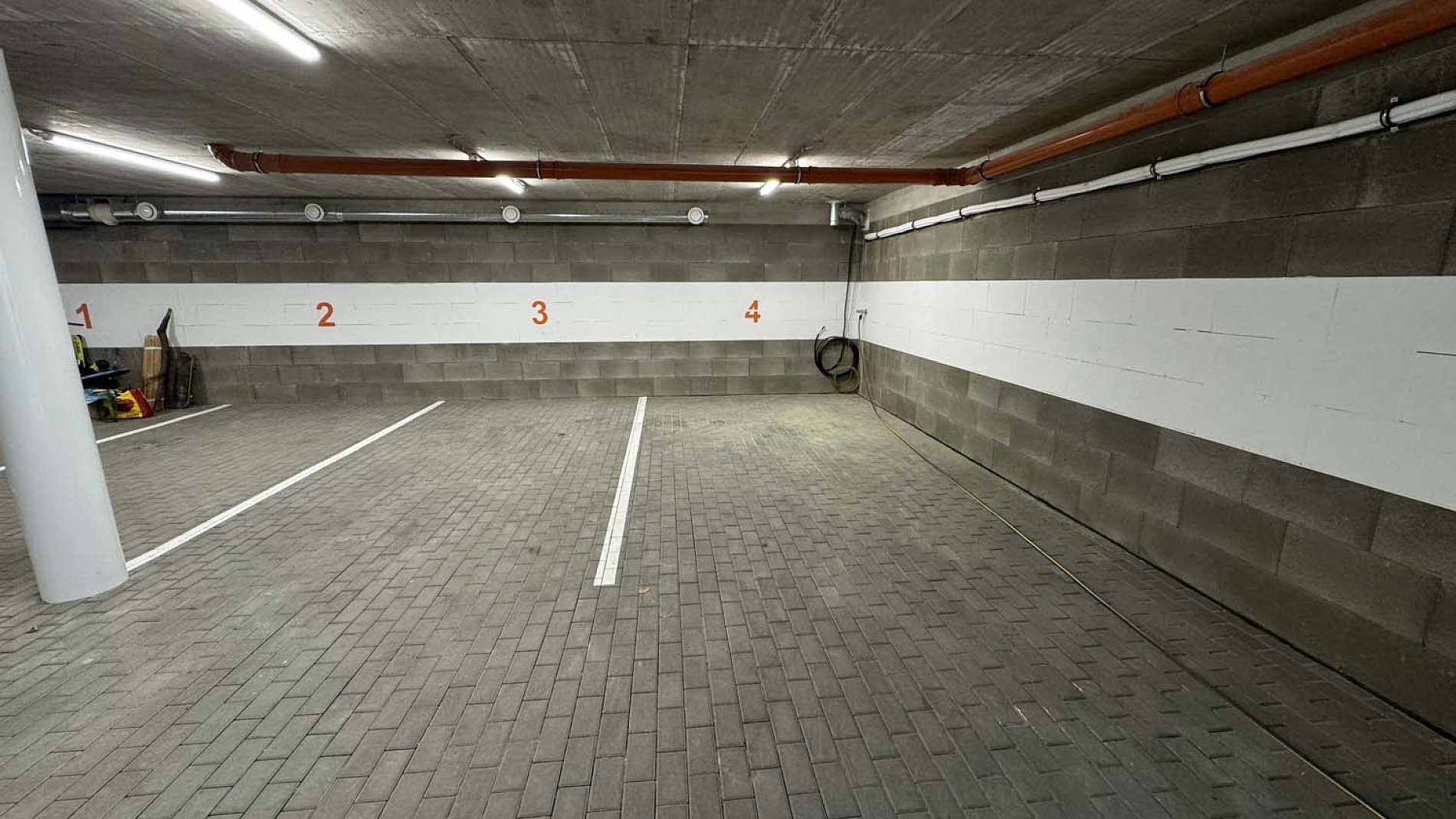 IMG-7595.jpeg